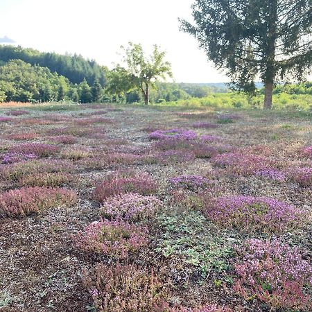 Domaine De Feix Βίλα Combressol Εξωτερικό φωτογραφία